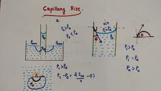 Capillary Rise  Class 11Physics  Chapter 10 Mechanical properties of fluids [upl. by Ylliw537]