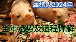 属猪人2024年全年运势及运程详解 [upl. by Noy]