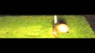 Golf Ball Impact 1000fps Slow Motion [upl. by Sherm]