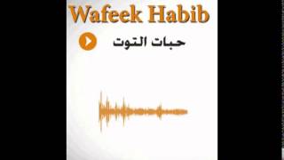 Wafeek Habib 7abat Al Toot Remix DJ Mike  وفيق حبيب حبات التوت ريمكس [upl. by Uot]