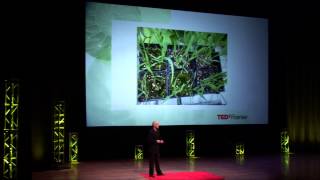 Lifes Resilience Response to Hydrogen Sulfide Peter Ward at TEDxRainier [upl. by Otreblada]