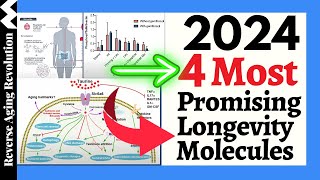 2024  4 MOST Promising Longevity Molecules You NEED To KNOW [upl. by Gwynne380]