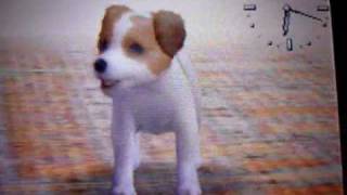 Nintendogs Jack Russell Terrier [upl. by Edric]