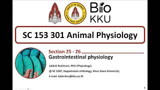 Gastrointestinal physiology ตอนที่ 1 [upl. by Inan942]