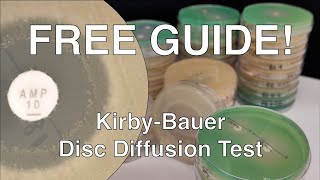 Disc Diffusion Guide [upl. by Serge]