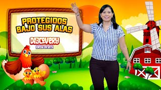 ▶️ Protegido Bajo Tus Alas  Iglesia Infantil Discovery  Enseñanzas Bíblicas Para Niños [upl. by Langdon210]