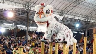 冠軍隊  臺灣基隆長興呂師父龍獅團 2013 International Lion Dance Competition 2013 [upl. by Oirramaj]