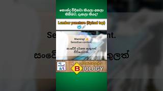 Lumbar puncture Spinal tap💉  Medical biology  අපි නොදන්න Biology  7🫀biology medical shorts [upl. by Annat]