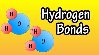 Hydrogen Bonds  What Are Hydrogen Bonds  How Do Hydrogen Bonds Form [upl. by Nhojleahcim375]