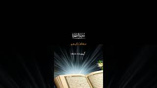 AYYAT E QURAN WITH URDU \ HINDI TRANSLATION ayyatequrani ayyatekalamepak [upl. by Nivi107]