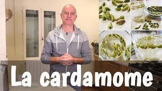 La cardamome  digestions difficiles nausées mauvaise haleine [upl. by Jallier]