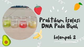 Kelompok 2  Praktikum Isolasi DNA Buah Pisang [upl. by Haldane]