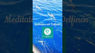 Meditation  Reise mit Delfinen zBals Erdungsübung beim EFT [upl. by Rhetta]