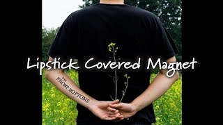 The Front Bottoms  Lipstick Covered Magnet Lyrics [upl. by Venita]