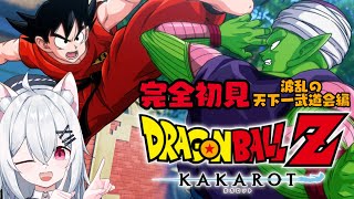 【ドラゴンボール Z カカロット】波乱の天下一武道会！完全初見🐉実況プレイPart12【新人VTuber望白ぬい】 [upl. by Anikehs]