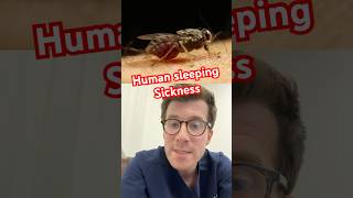 Human sleeping sickness and the deadly tsetse fly shorts [upl. by Abby]