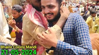 Bhains Colony Mandi Karachi Cattle Update 21052024  3 Gante Ki Mehnat Zaya 😡Cow Mandi 2024 [upl. by Thurmann324]