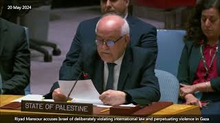 Riyad Mansour demands immediate international action to end humanitarian crisis in Gaza [upl. by Yrhcaz]