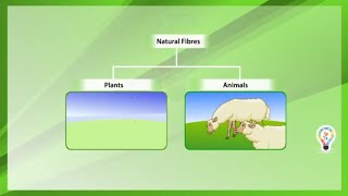 Natural fibres and synthetic fibres [upl. by Gelman]