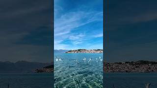 ohrid rhapsodyofnature bestdestination travel beautifulview naturelake viralshort fypshare [upl. by Hepzi]