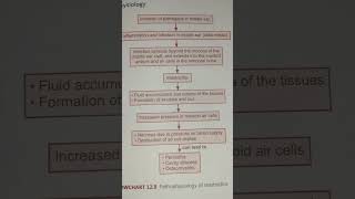 Pathophysiology of mastoiditis   AHN notes [upl. by Barr303]