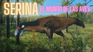 SERINA EL MUNDO DE LAS AVES La magia de la biología especulativa [upl. by Anaili]