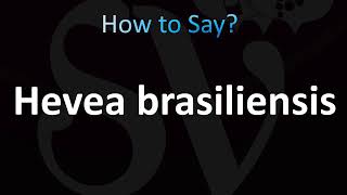 How to Pronounce Hevea brasiliensis CORRECTLY [upl. by Adidnere]