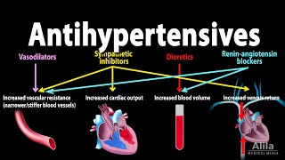 Antihypertensive Medications  Pharmacology Animation [upl. by Boonie]