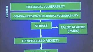 Anxiety and Mood Disorders in DSM5 [upl. by Llennor]