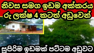 අක්කරයක් ලක්ෂ 4 කටත් වඩා අඩුවට  Cashew land  Land for sale  House for sale  Aduwata idam [upl. by Vizzone]