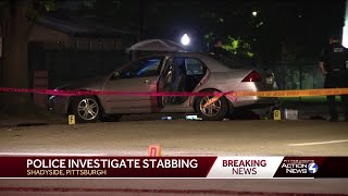 Stabbing near Mellon Park [upl. by Gillead130]