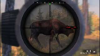 Cabelas Big Game Hunter Pro Hunts Moose  Deer Hunting games gaming gameplay viralgameplay [upl. by Harutek112]