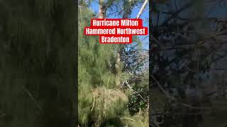 Hurricane Milton hammered Northwest Bradenton hurricanemilton [upl. by Ardyce]