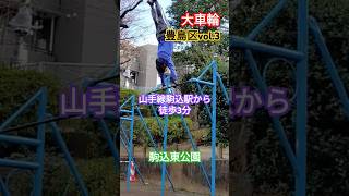 【大車輪】豊島区vol3 駒込東公園 shorts 鉄棒 [upl. by Juli]