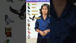 10 Birds🦜 in English  Kids English Words  Adi Keshari Connection shorts [upl. by Rosabelle476]