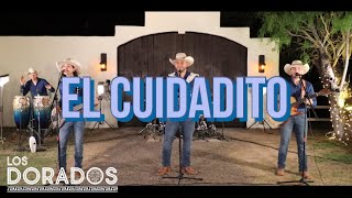 Los Dorados  El Cuidadito En Vivo [upl. by Godric]