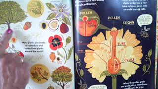 what inside a flower calendar page [upl. by Anirbys]