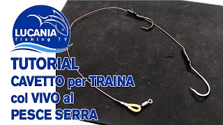 TUTORIAL  Cavetto per Traina col vivo al Pesce Serra  S1E2 [upl. by Savinirs]