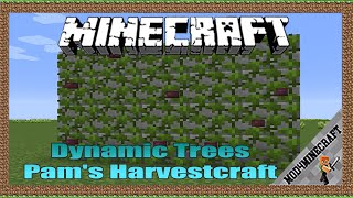 Dynamic Trees  Pams Harvestcraft Compat 1122 amp Tutorial Downloading And Installing For Minecraft [upl. by Henrik]