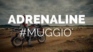 ADRENALINE Muggiò [upl. by Eltsirc]