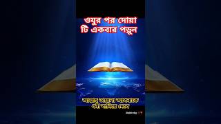 ওযুর পর দোয়া টি একবার পড়ুনyoutubeshortsviralshortshortsduaislamicstatusnaziasvlognamaz [upl. by Rimidalb87]