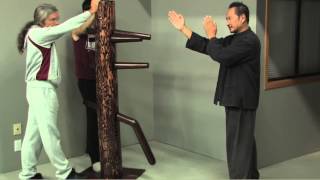 Wing Chun Dummy Intro [upl. by Collin342]