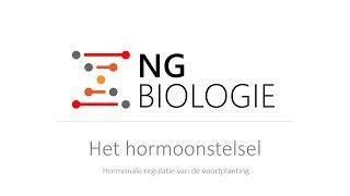 Het hormoonstelsel  hormonale regulatie van de voortplanting  HAVOVWO [upl. by Dleifrag]