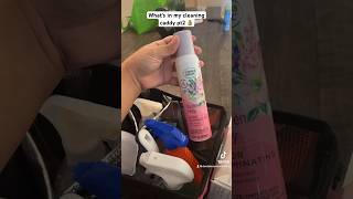 What’s in my cleaning caddy PT2😱😱💰cleantok airbnbcleaning airbnb cleaningtips cleaninghacks [upl. by Gunnar]