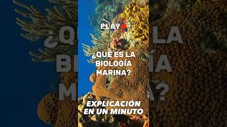 ¿Qué es la biología marina [upl. by Nidla]