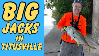 Epic Jack Crevalle Fishing Adventure in Titusville Florida [upl. by Troy]