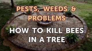 How to Kill Bees in a Tree [upl. by Il]