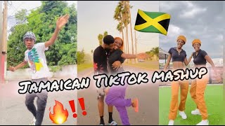 NEW JAMAICAN TIKTOK DANCE MASHUP 2024 [upl. by Lynnea137]