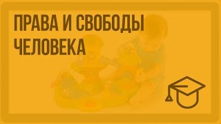 Права и свободы человека Видеоурок по обществознанию 9 класс [upl. by Durant]