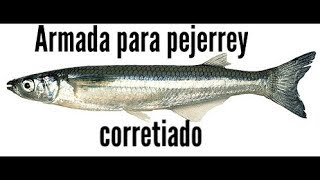 armada para pejerrey corretiado [upl. by Ayifas]